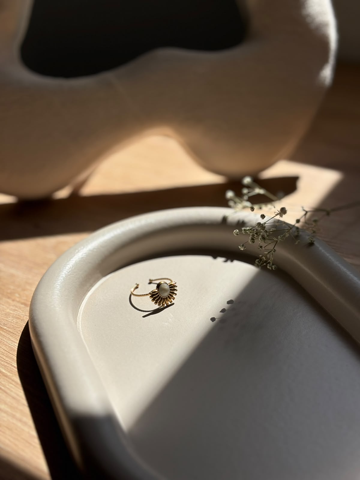 Anillos