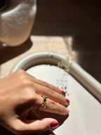 Anillo Salina