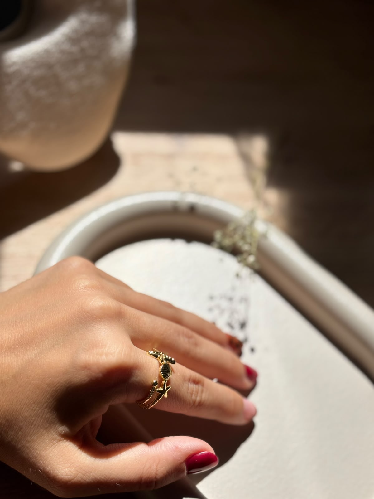 Anillo Salina